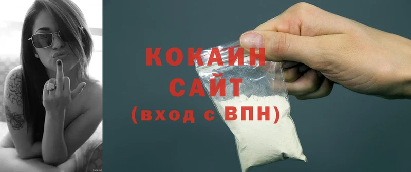 shop какой сайт  mega онион  Бежецк  продажа наркотиков  COCAIN Fish Scale 